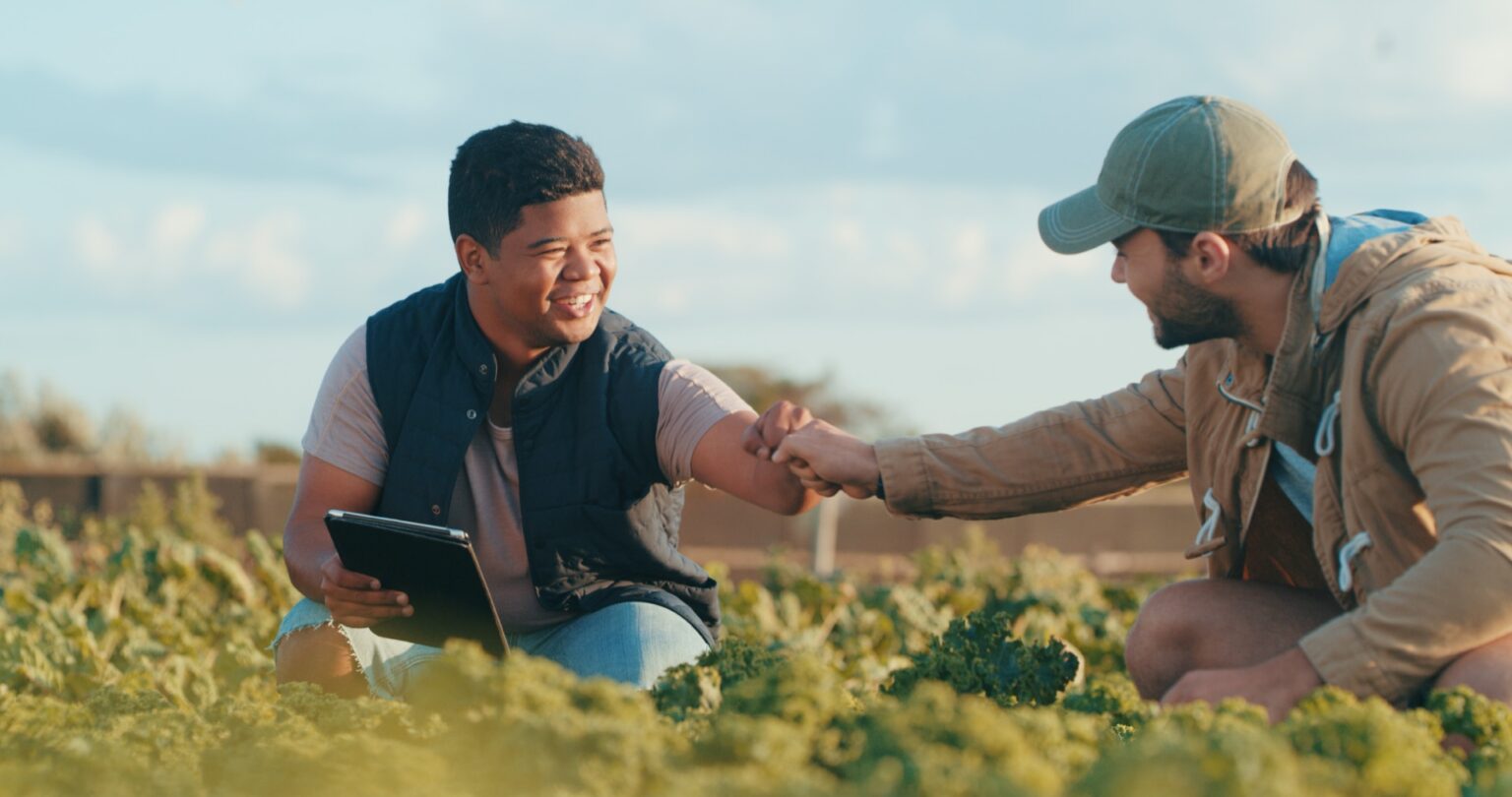 Farmers working together