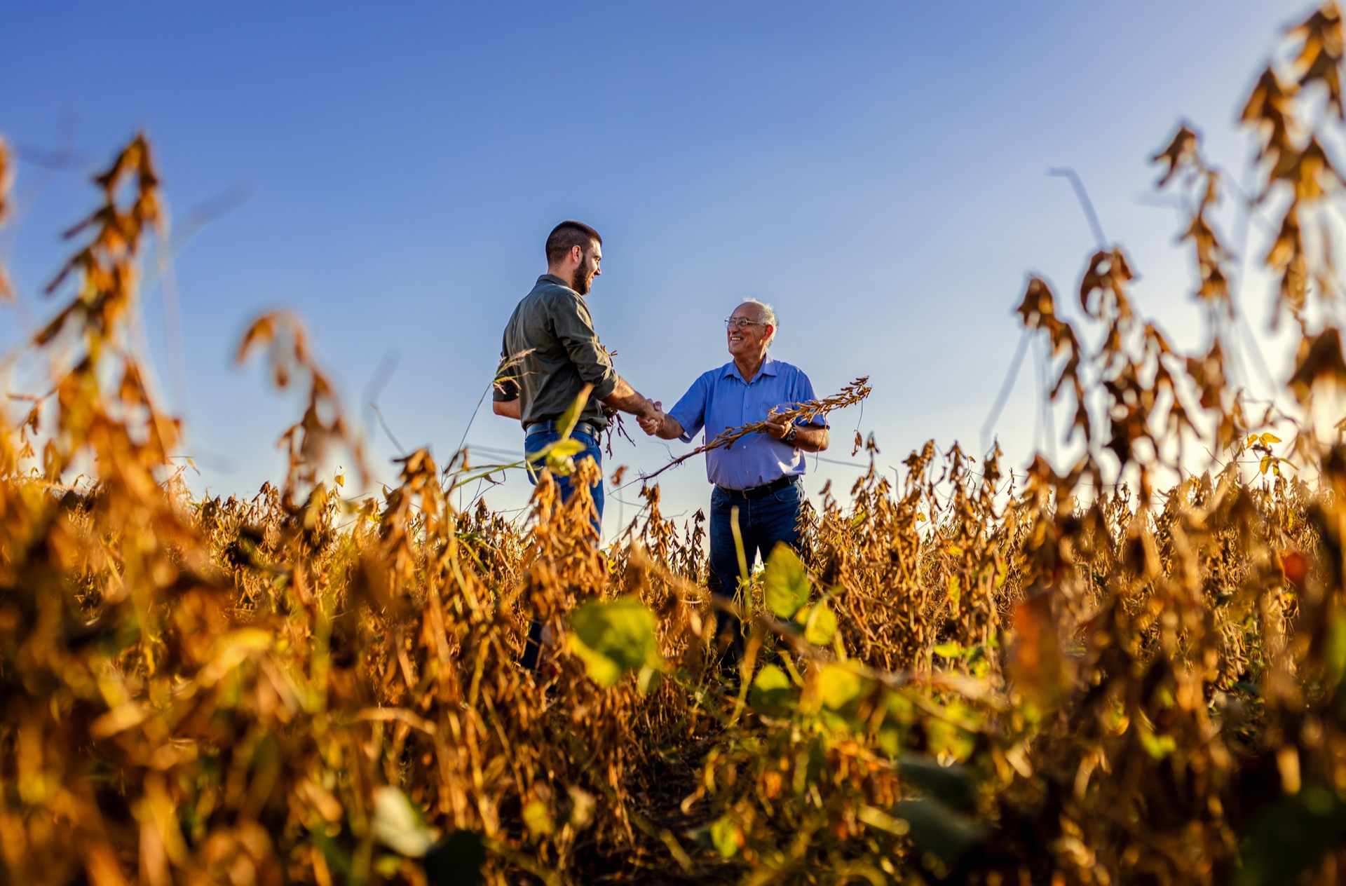 Farmer handshake