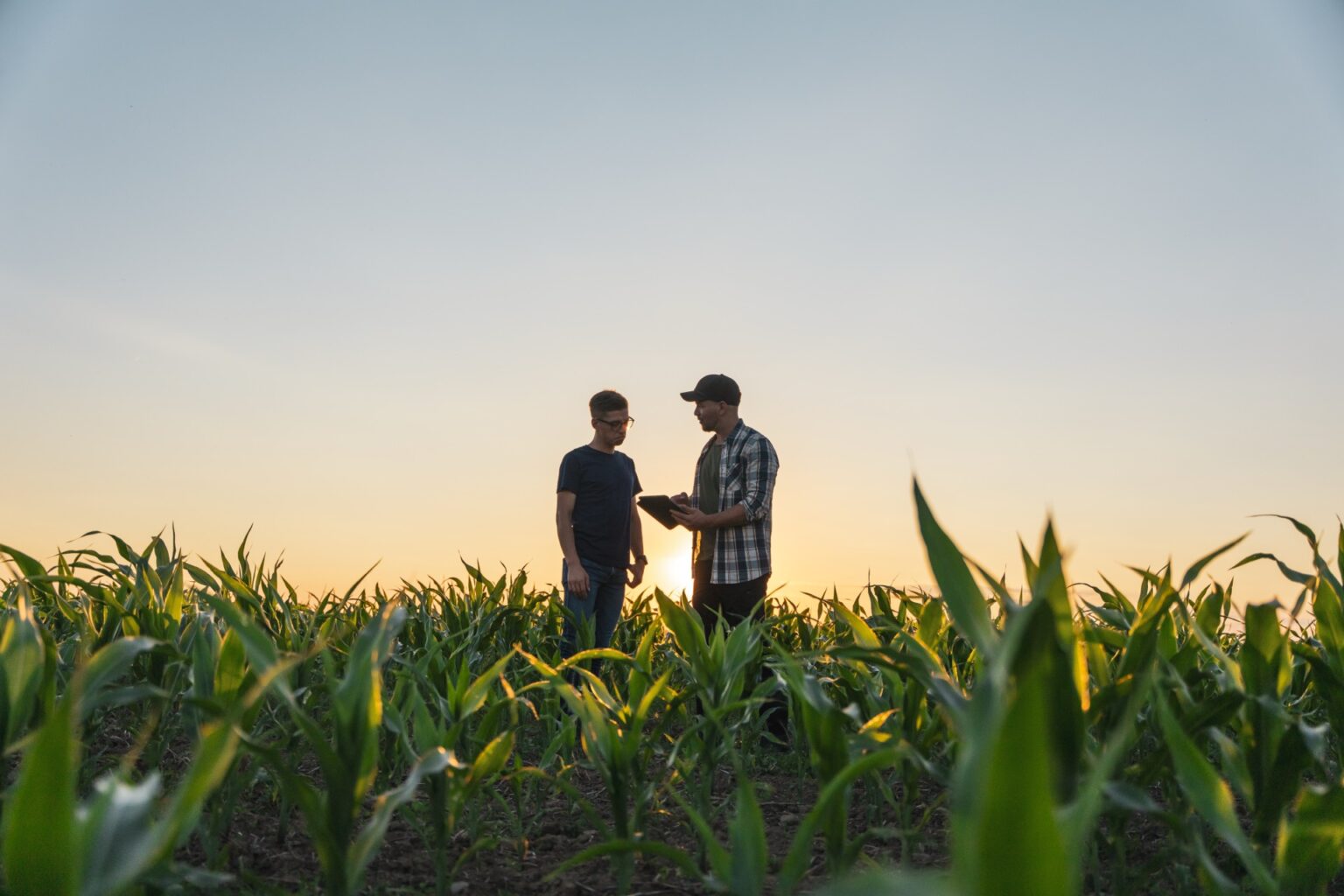 Meeting of farmers